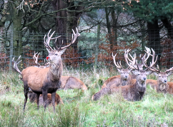 Lyme Park